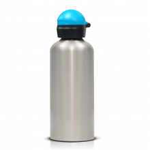 Blue Lid Silver Bottle 600ml